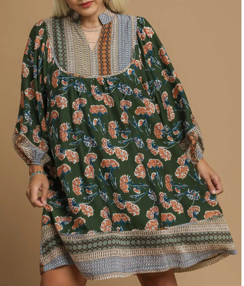 The Boarder Print Dress in Curvy