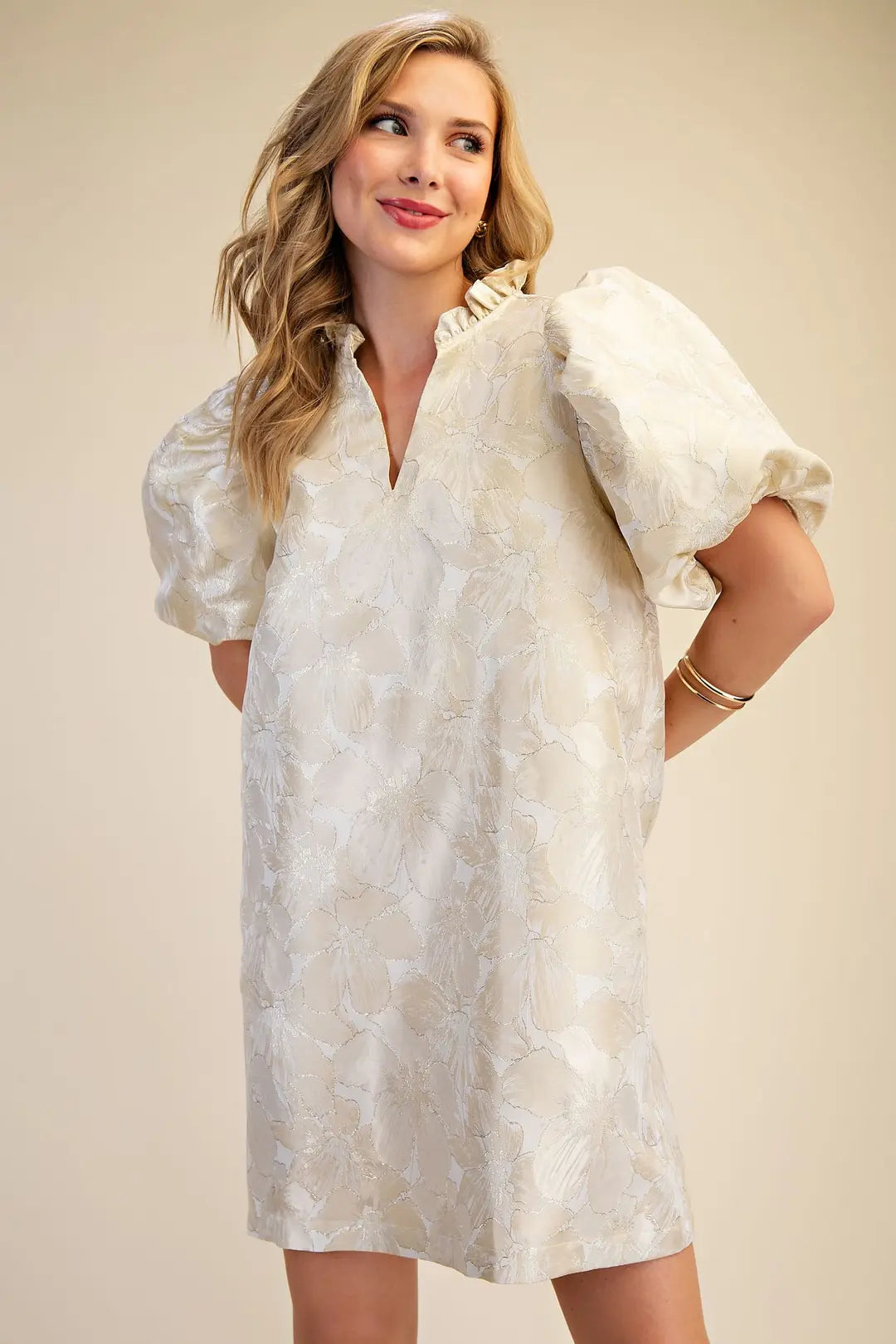 S26 Chloe's Mini Dress