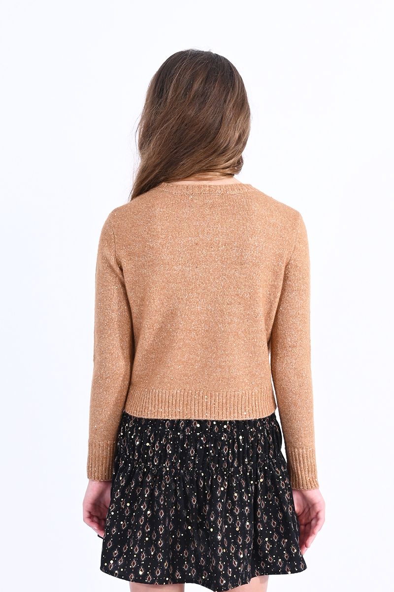 Girls: All that Shimmers Sweater