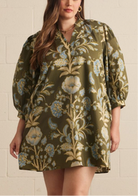 F26 Camryn Dress Curvy